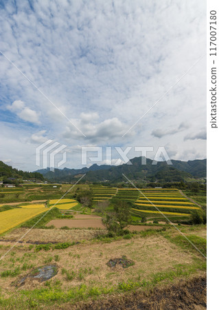 收成後的稻田與鄉村（宮崎縣高千穗町） 117007180