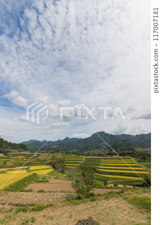 收成後的稻田與鄉村（宮崎縣高千穗町） 117007181
