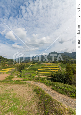 收成後的稻田與鄉村(宮崎縣高千穗町) 收成後的稻田與鄉村(宮崎縣高千穗町) 117007189