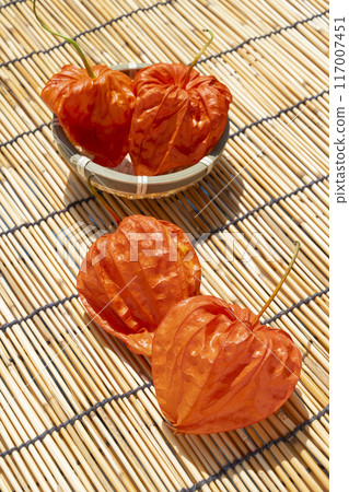 夏季傳統保月 夏季傳統保月 117007451