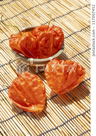 夏季傳統保月 夏季傳統保月 117007452