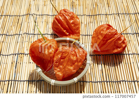 夏季傳統保月 117007457