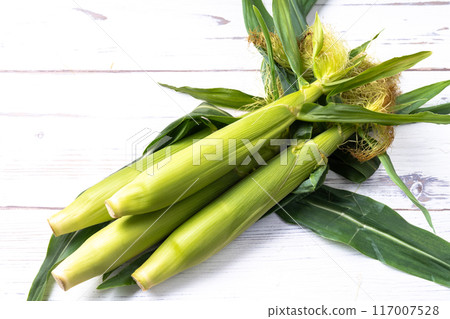 Young corn with leather Young corn with leather 117007528