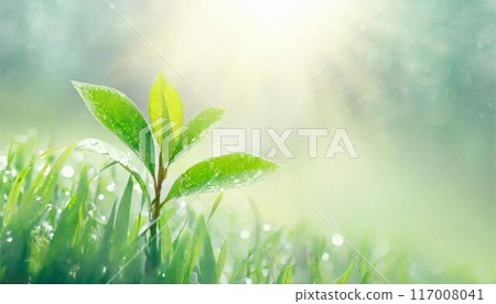 Summer green leaves nature image 117008041
