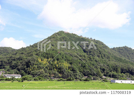 武田城遺址和鸛鳥(兵庫縣朝來市) 武田城遺址和鸛鳥(兵庫縣朝來市) 117008319