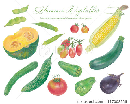 手繪夏季蔬菜插畫集 117008336