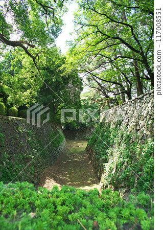 名古屋城的干護城河(夏季、7月) 名古屋城的干護城河(夏季、7月) 117008551