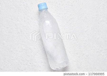 Frozen plastic water bottle on white background 117008995