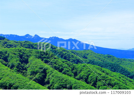 View from Kirigamine Plateau in June - Nature of Shinshu View from Kirigamine Plateau in June - Nature of Shinshu 117009103