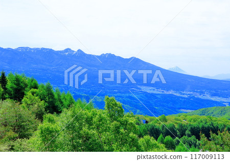 六月霧峰高原的景色 - 信州的自然 六月霧峰高原的景色 - 信州的自然 117009113