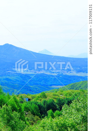 六月霧峰高原的景色 - 信州的自然 六月霧峰高原的景色 - 信州的自然 117009131