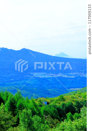 六月霧峰高原的景色 - 信州的自然 117009133