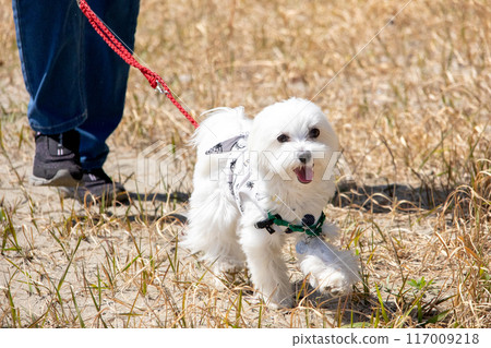 笑Uwanko 笑Uwanko 117009218