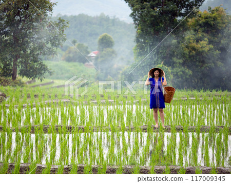 Woman in native hmong traditional dress and straw hat standing in lush green rice field surrounded by misty trees and mountains in background 117009345