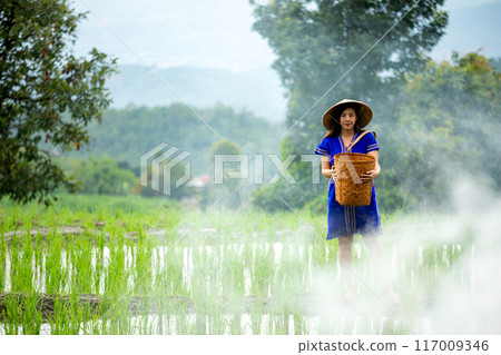 Woman in blue native traditional dress and straw hat holding basket in misty rice field with green hills and trees in background 117009346