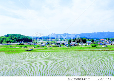 Chino region in June - Nature of Shinshu 117009435