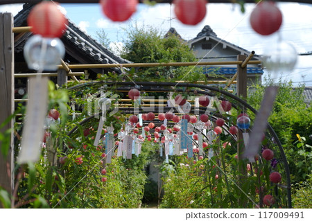 A tunnel of red lanterns and glass wind chimes A tunnel of red lanterns and glass wind chimes 117009491