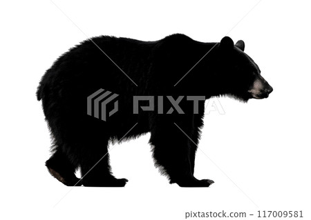 熊剪影 熊剪影 117009581