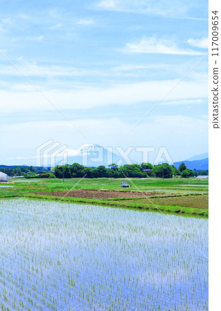 Fujimi area in June - Nature of Shinshu 117009654