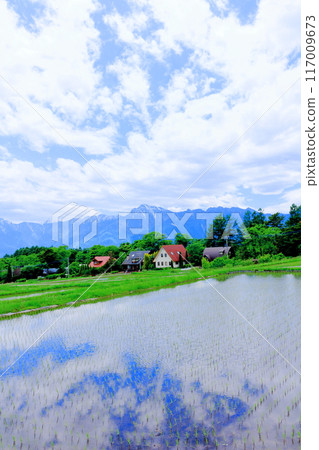 Fujimi area in June - Nature of Shinshu 117009673