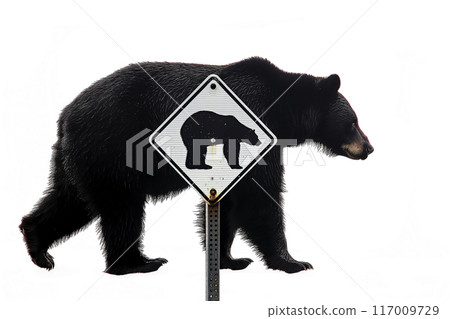 熊剪影和招牌 熊剪影和招牌 117009729