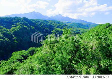 六月八岳高原大橋的景色 - 信州的自然 117009784