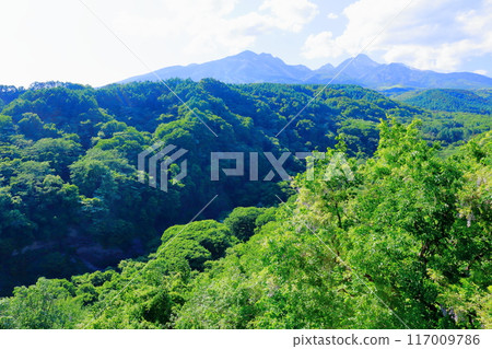 六月八岳高原大橋的景色 - 信州的自然 117009786