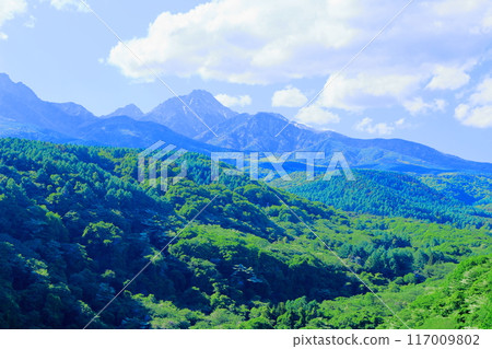 六月八岳高原大橋的景色 - 信州的自然 117009802
