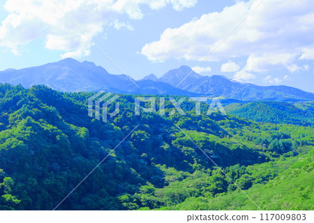 六月八岳高原大橋的景色 - 信州的自然 117009803