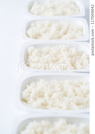包裝米飯 117009842