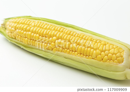 玉米白色背景 117009909