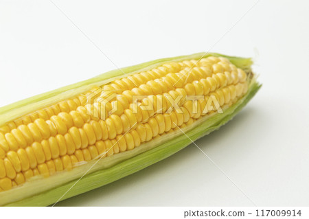 玉米白色背景 117009914