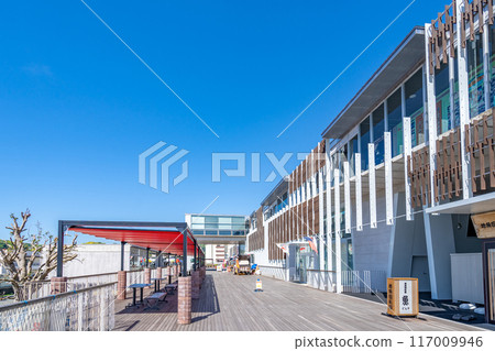 Road station opening country Shimoda Minato 117009946