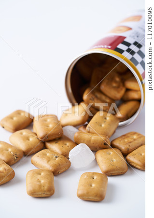 Campan 117010096