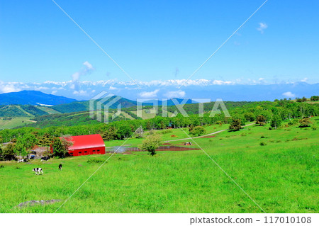 六月攀登貓山 信州山的自然風光 信州山 六月攀登貓山 信州山的自然風光 信州山 117010108
