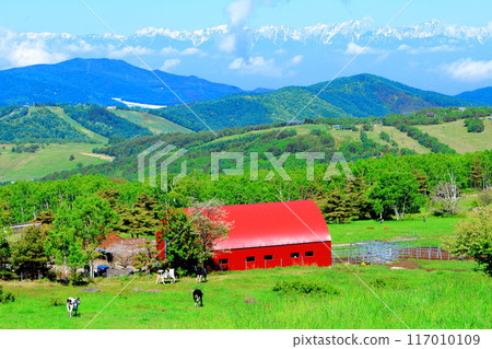 六月攀登貓山 信州山的自然風光 信州山 六月攀登貓山 信州山的自然風光 信州山 117010109