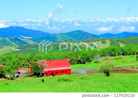 六月攀登貓山 信州山的自然風光 信州山 六月攀登貓山 信州山的自然風光 信州山 117010110