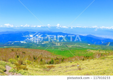 Climbing Mt. Nekodake in June Nature of Shinshu Mountains of Shinshu Climbing Mt. Nekodake in June Nature of Shinshu Mountains of Shinshu 117010233