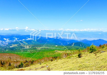 Climbing Mt. Nekodake in June Nature of Shinshu Mountains of Shinshu Climbing Mt. Nekodake in June Nature of Shinshu Mountains of Shinshu 117010235