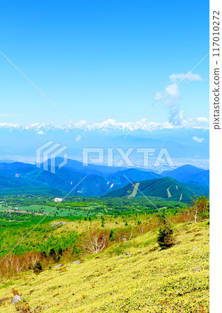 Climbing Mt. Nekodake in June　Nature of Shinshu　Mountains of Shinshu 117010272
