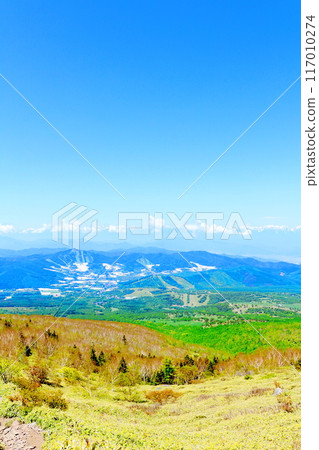 Climbing Mt. Nekodake in June Nature of Shinshu Mountains of Shinshu Climbing Mt. Nekodake in June Nature of Shinshu Mountains of Shinshu 117010274
