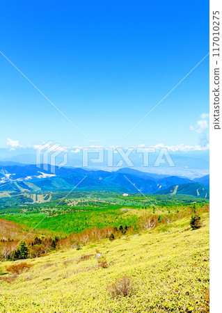 Climbing Mt. Nekodake in June　Nature of Shinshu　Mountains of Shinshu 117010275