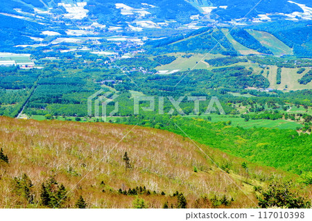 Climbing Mt. Nekodake in June　Nature of Shinshu　Mountains of Shinshu 117010398