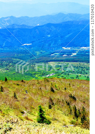 Climbing Mt. Nekodake in June　Nature of Shinshu　Mountains of Shinshu 117010420