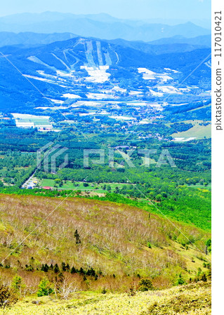 Climbing Mt. Nekodake in June　Nature of Shinshu　Mountains of Shinshu 117010421