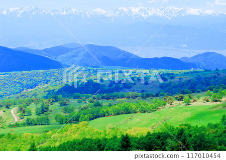 Climbing Mt. Nekodake in June Nature of Shinshu Mountains of Shinshu Climbing Mt. Nekodake in June Nature of Shinshu Mountains of Shinshu 117010454