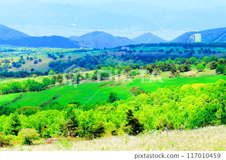 Climbing Mt. Nekodake in June Nature of Shinshu Mountains of Shinshu Climbing Mt. Nekodake in June Nature of Shinshu Mountains of Shinshu 117010459