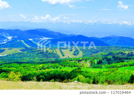 Climbing Mt. Nekodake in June Nature of Shinshu Mountains of Shinshu Climbing Mt. Nekodake in June Nature of Shinshu Mountains of Shinshu 117010464