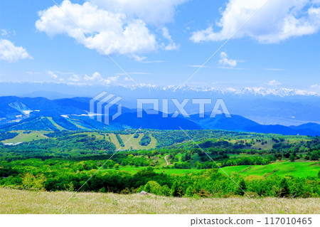Climbing Mt. Nekodake in June Nature of Shinshu Mountains of Shinshu Climbing Mt. Nekodake in June Nature of Shinshu Mountains of Shinshu 117010465
