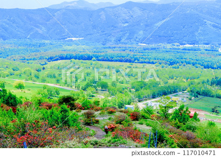 Climbing Mt. Nekodake in June Nature of Shinshu Mountains of Shinshu Climbing Mt. Nekodake in June Nature of Shinshu Mountains of Shinshu 117010471